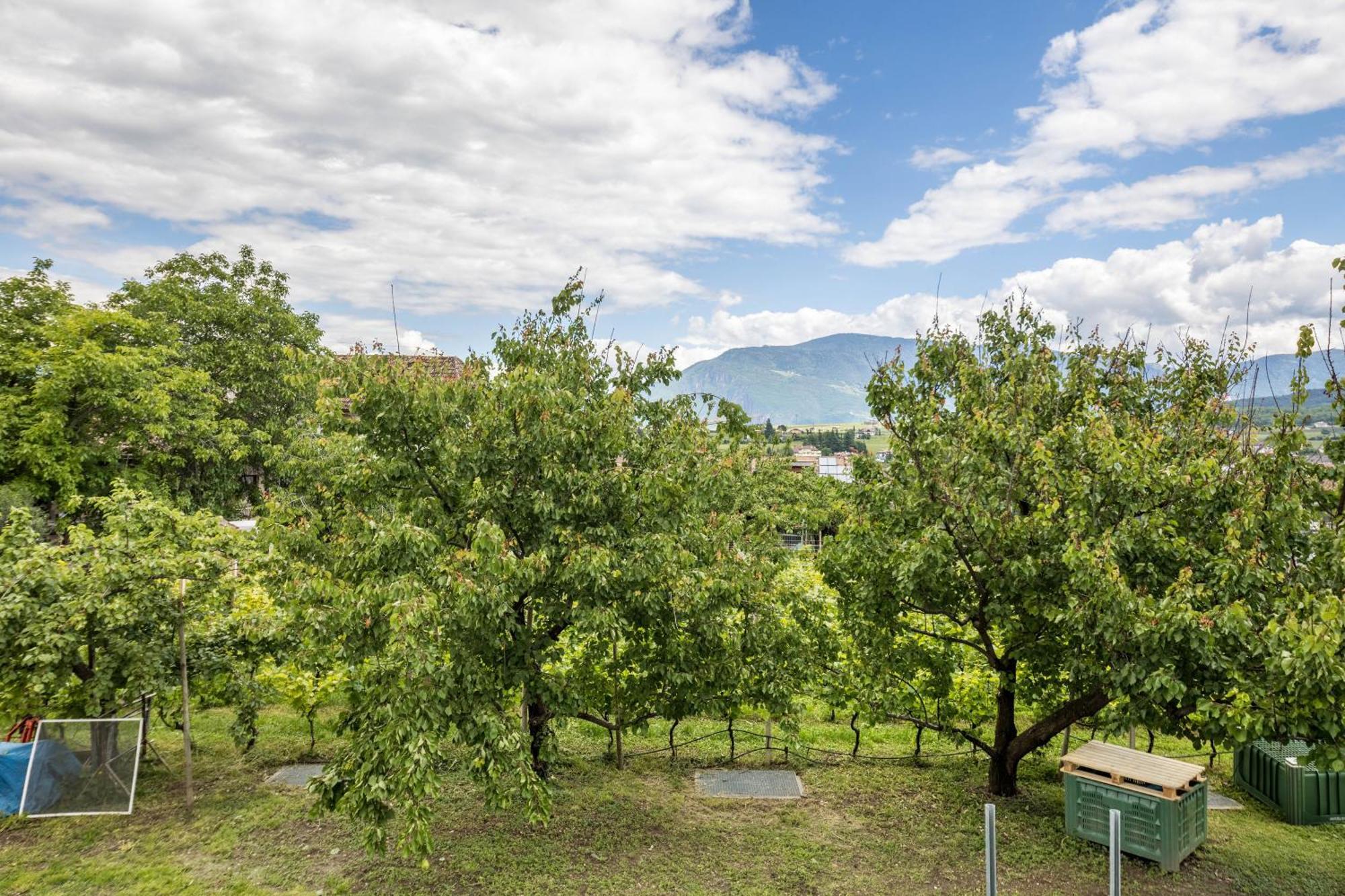 Angerblick Apartment Eppan an der Weinstraße Exterior foto